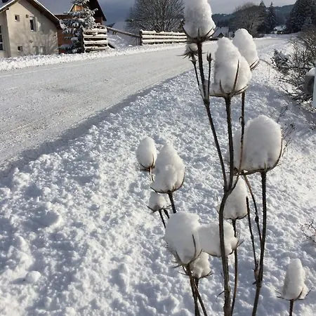 Vikendica Ana *