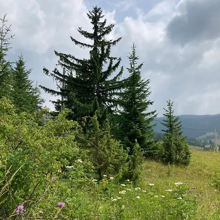 Сasa de vacaciones Vikendica Ana *